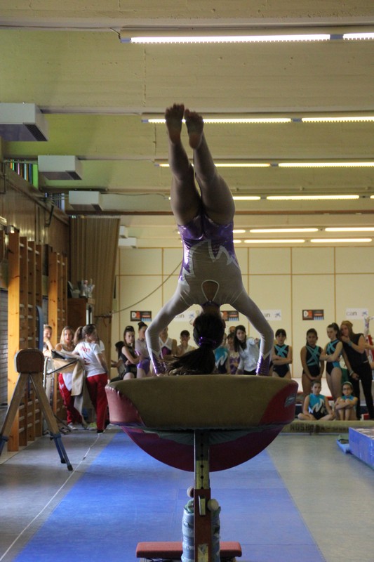 Amaya alberg&oacute; el Campeonato Navarro de GAF, Promogym e Inigym